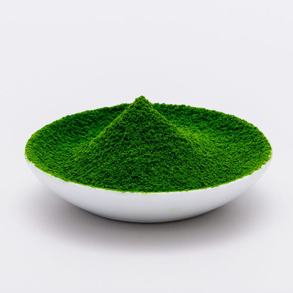 Genuine Uji MATCHA 日本頂級抹茶 丸久小山園 五十玲 Marukyu Koyamaen Isuzu -100g - Image 2