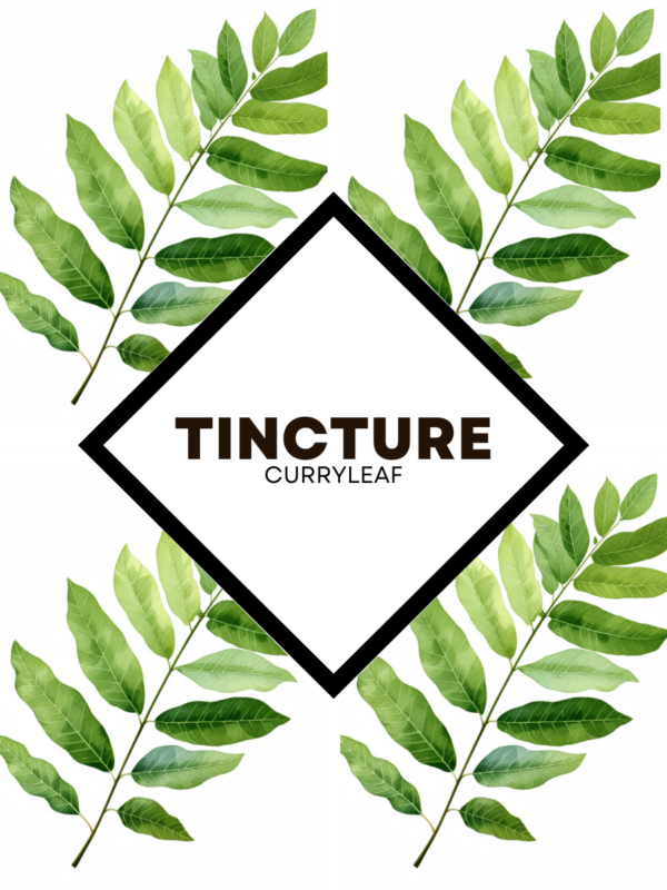 Tincture : CurryLeaf (1000ml) - Image 1