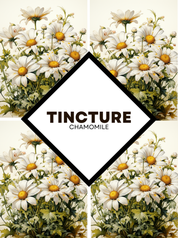 Tincture : Chamomile (1000ml) - Image 1