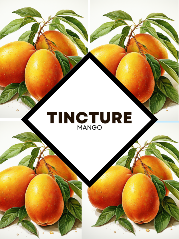 Tincture : Mango (1000ml) - Image 1