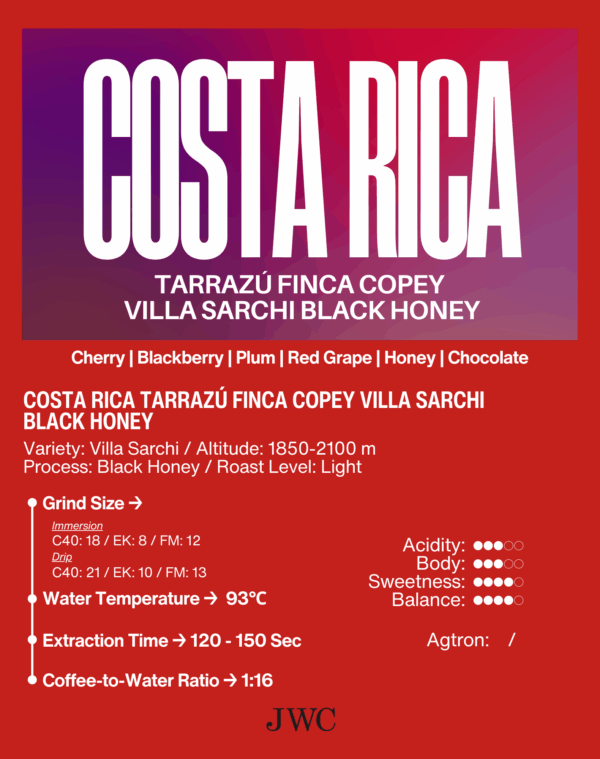 Costa Rica Tarrazú Finca Copey Villa Sarchi Black Honey - Image 2