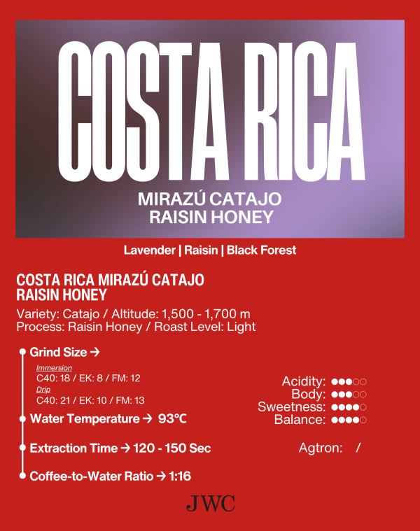 Costa Rica Mirazú Catajo Raisin Honey - Image 2