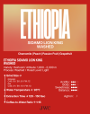 Ethiopia Sidamo Lion King Washed - Image 2