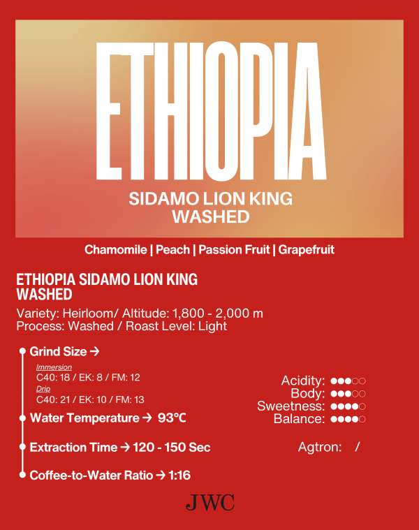 Ethiopia Sidamo Lion King Washed - Image 2