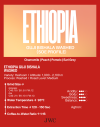 SOE - (Seasonal) Ethiopia Guji Bishala Washed - Image 2