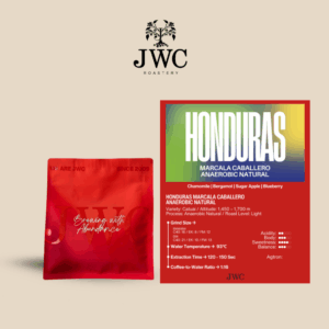 Honduras Marcala Caballero Anaerobic Natural