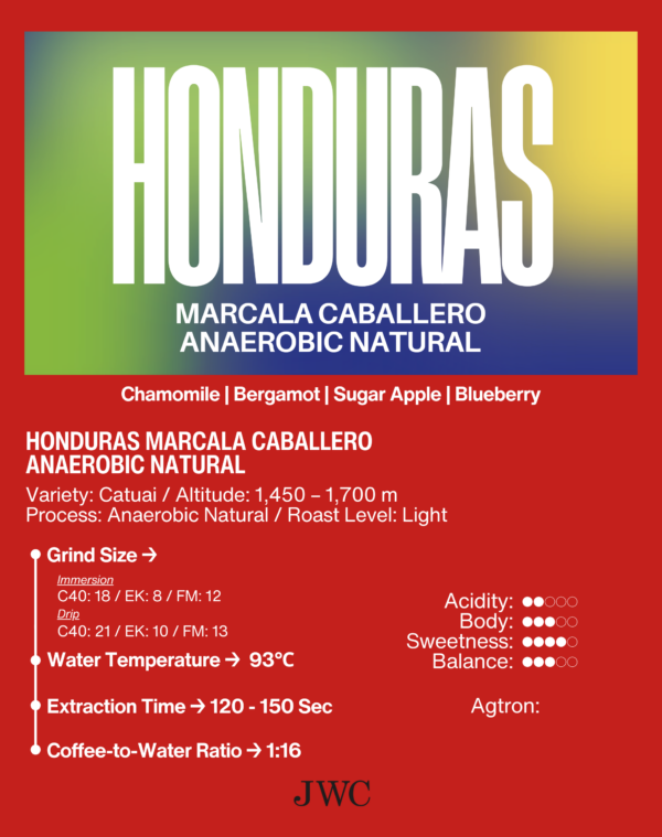 Honduras Marcala Caballero Anaerobic Natural - Image 2