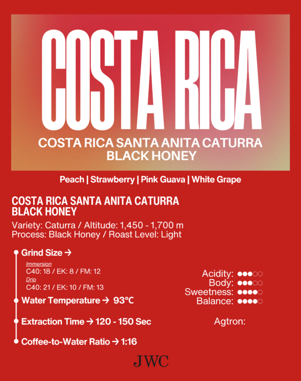 Costa Rica Santa Anita Caturra Black Honey - Image 2
