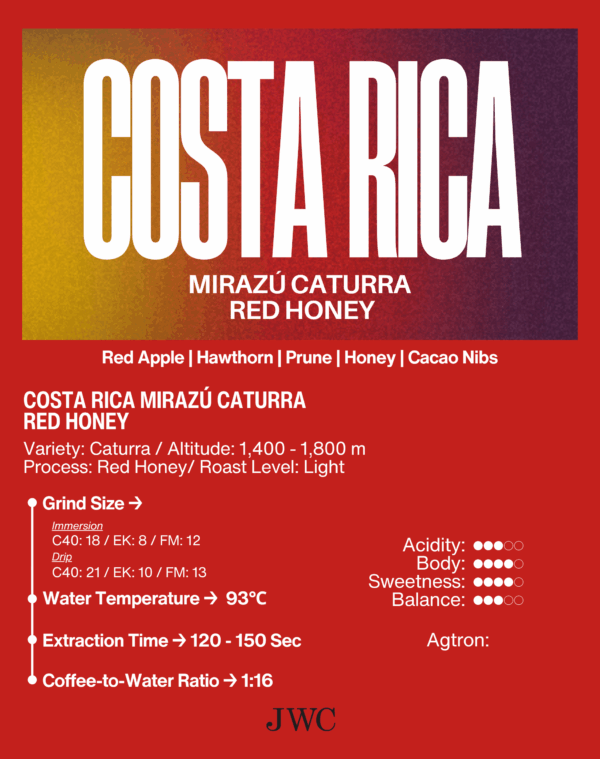 Costa Rica Mirazú Caturra Red Honey - Image 2
