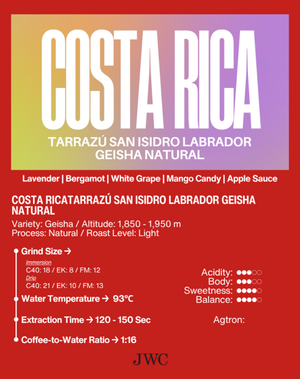 Costa Rica Tarrazú San Isidro Labrador Geisha Natural - Image 2