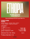 SOE (Seasonal) - Ethiopia Bombe Washed - Image 2